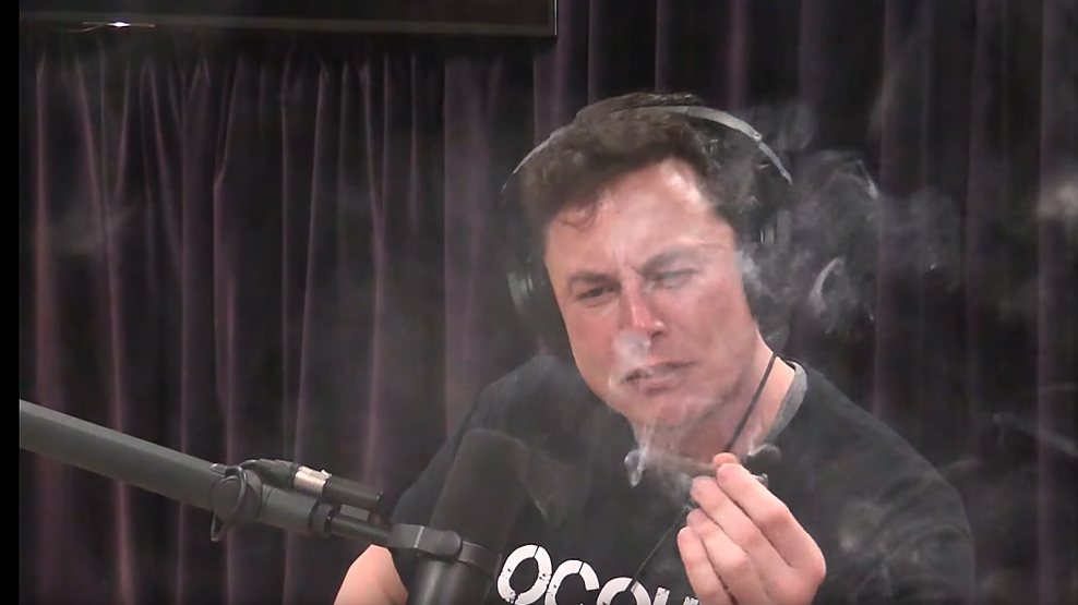 Elon Musk, marijuana, Joe Rogan interview, dailycarblog.com
